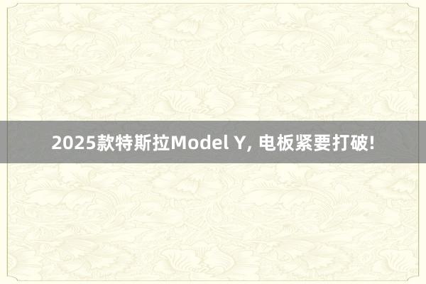 2025款特斯拉Model Y, 电板紧要打破!