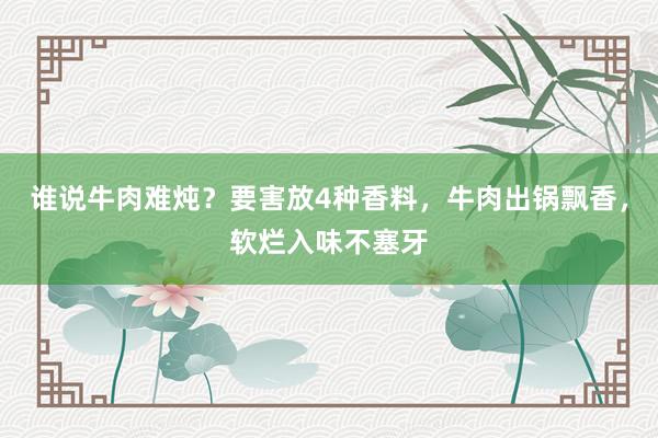 谁说牛肉难炖？要害放4种香料，牛肉出锅飘香，软烂入味不塞牙