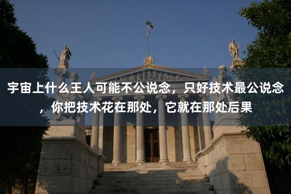 宇宙上什么王人可能不公说念，只好技术最公说念，你把技术花在那处，它就在那处后果