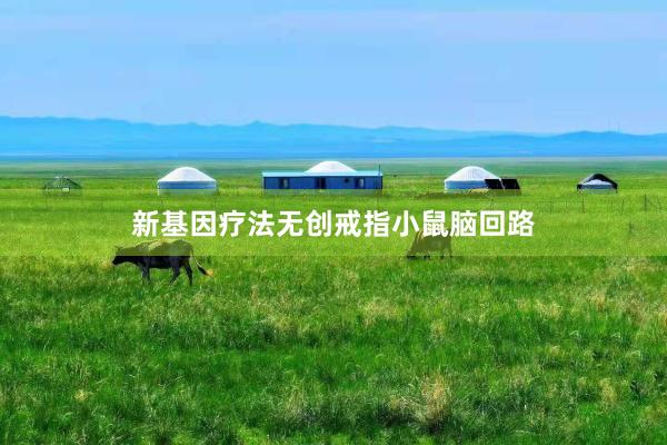 新基因疗法无创戒指小鼠脑回路