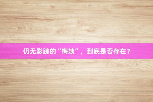 仍无影踪的“梅姨”，到底是否存在？
