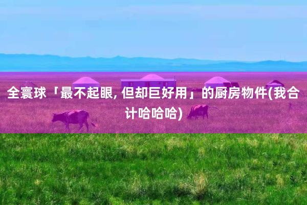 全寰球「最不起眼, 但却巨好用」的厨房物件(我合计哈哈哈)