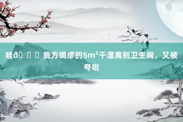 哇😝我方绸缪的5m²干湿离别卫生间,又被夸啦
