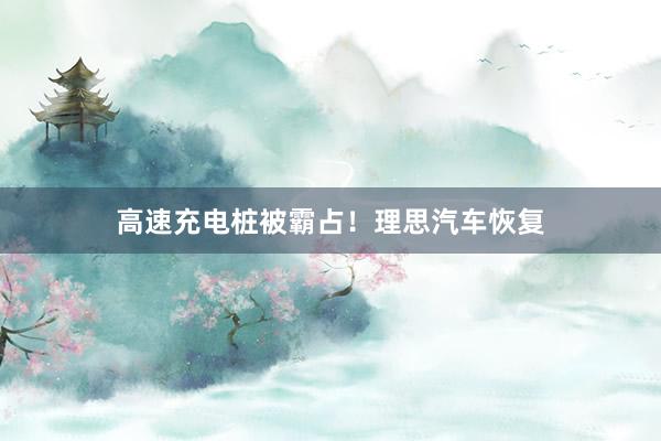 高速充电桩被霸占！理思汽车恢复