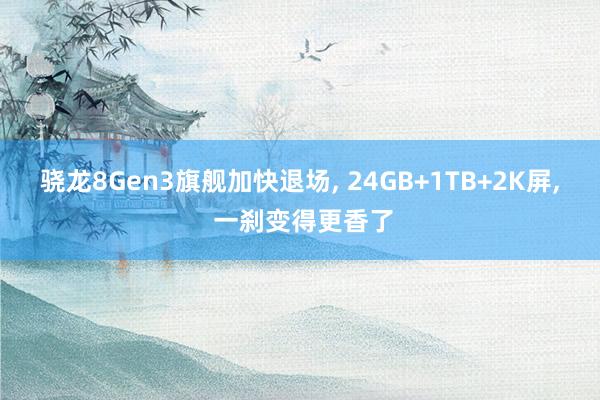 骁龙8Gen3旗舰加快退场, 24GB+1TB+2K屏, 一刹变得更香了