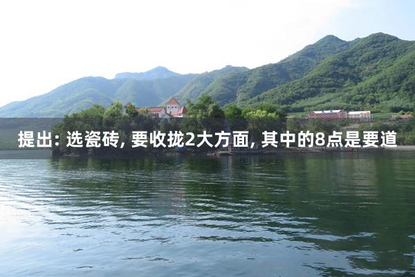 提出: 选瓷砖, 要收拢2大方面, 其中的8点是要道