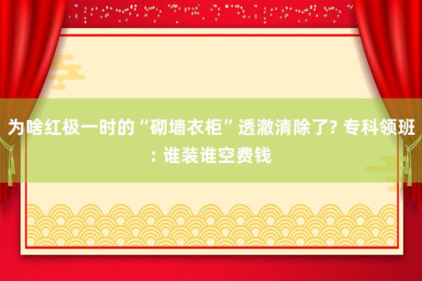 为啥红极一时的“砌墙衣柜”透澈清除了? 专科领班: 谁装谁空费钱