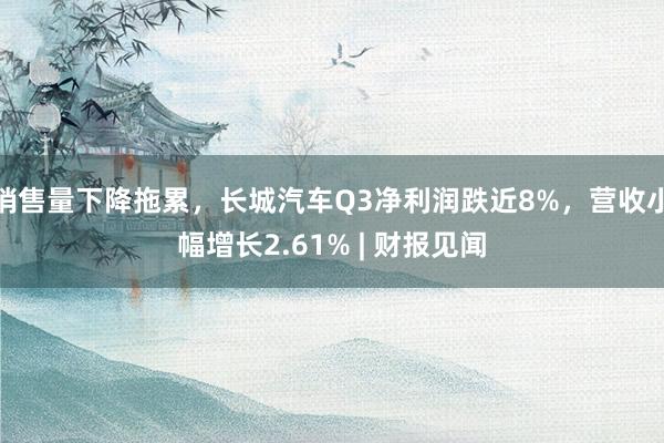 销售量下降拖累，长城汽车Q3净利润跌近8%，营收小幅增长2.61% | 财报见闻